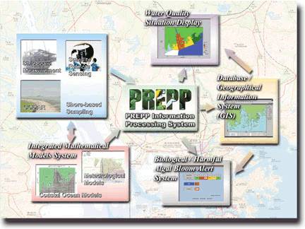 River Estuary Pollution Project (PREPP)